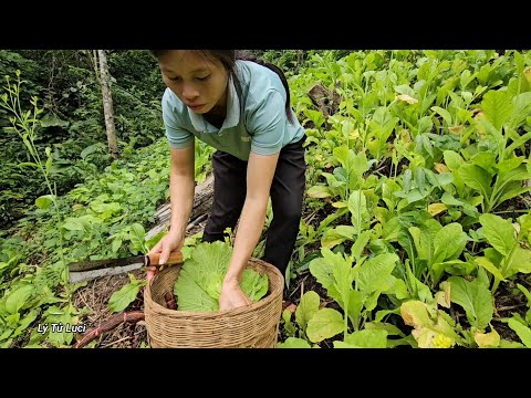 How did Jack's mother teach Tu Tien life skills to cope with life's challenges?