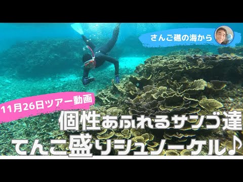 【石垣島】個性あふれるサンゴ達がお出迎えてんこ盛りシュノーケリング♪11月26日ツアー動画