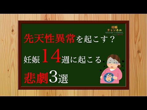 【妊娠14週】先天性異常を起こす？この時期に起こる悲劇3選💦