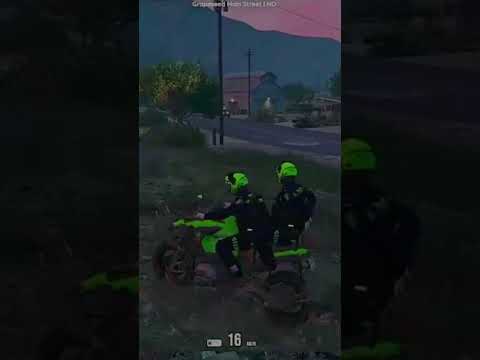 EL OFICIAL MATUTE - LA SERIE - GTA V ROLEPLAY