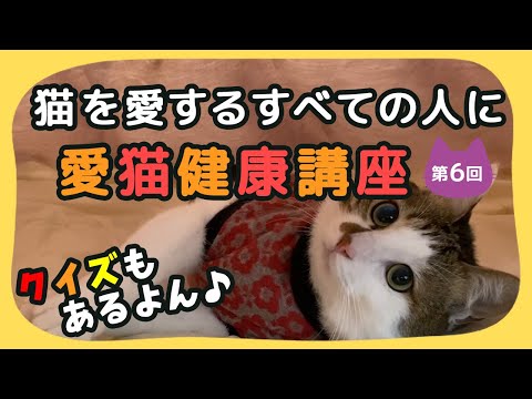 【猫しもべ検定(ΦωΦ)】「猫を愛する全ての人」に！愛猫健康講座のご紹介(第６回)