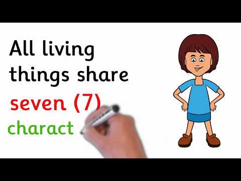 The Characteristics of Living Things | Educational Video for Kids | Preschool | Kindergarten