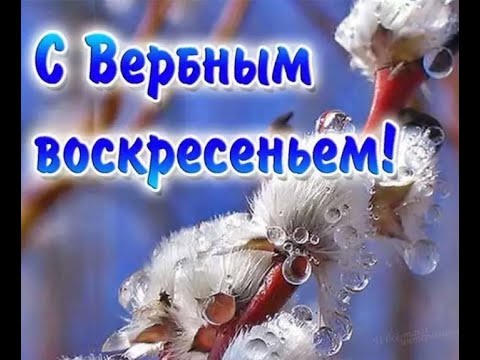 КРАСИВОЕ ПОЗДРАВЛЕНИЕ С ВЕРБНЫМ ВОСКРЕСЕНЬЕМ 2022!МУЗЫКАЛЬНАЯ ОТКРЫТКА!АНИМАЦИЯ!12 АПРЕЛЯ!ПРИМЕТЫ...