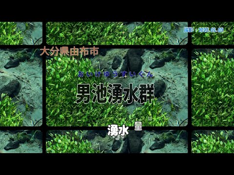 大分県由布市庄内町 「男池湧水群」「名水の滝」