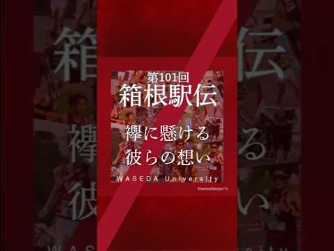 【スタッフの襷に懸ける想い～相川賢人～】#早稲田大学競走部#箱根駅伝