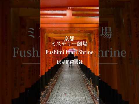 【京都ミステリー劇場・雨の伏見稲荷大社で出逢うのは⁉️】京都観光なのに雨☔️そんな時こそここへ！#伏見稲荷大社 #伏見#京都#京都おすすめ #観光#猫#商売繁盛#商売繁盛祈願#cat#kyoto