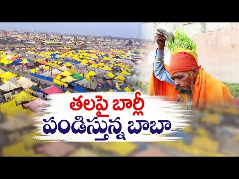 Baba Growing Barley on His Head | Maha Kumbh Mela | తలపై బార్లీని పండిస్తున్న బాబా