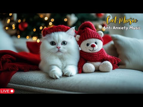 12 Hours Of Deeply Relaxing Music For Cats! 😺🎄Christmas Music For Cats and Kittens Help Sleep Easy 🎶