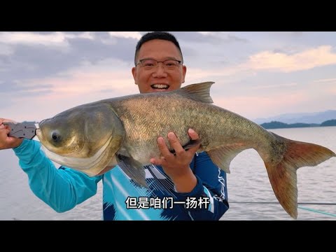 江西的柘林水库，又称庐山西海！钓鱼是免费的，就看个人钓技了！