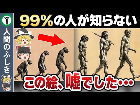 【驚愕】特殊すぎる人間の進化【ゆっくり解説】