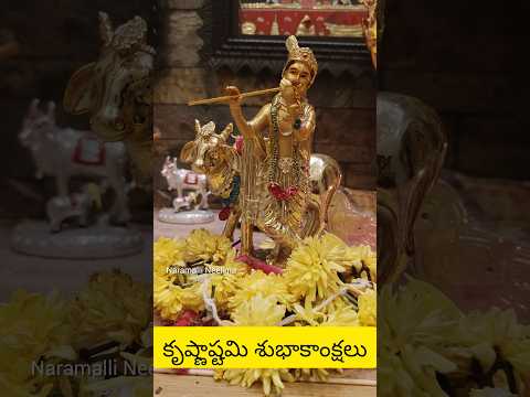 కృష్ణాష్టమి#krishnastami pooja#trending shorts#yt shorts #youtube shorts#Naramalli Neelima#