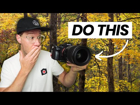 The SIMPLE Composition Hack for Amazing Tree Photography