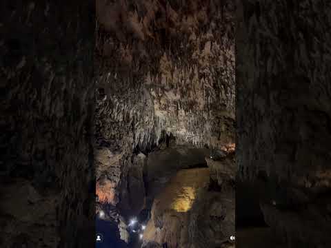 #沖縄夏のおすすめスポット#沖縄人気スポット #沖縄観光 #沖縄旅行 #caveokinawa #沖縄 #おきなわ #okinawa #okinawaisland #okinawatrip #沖縄県