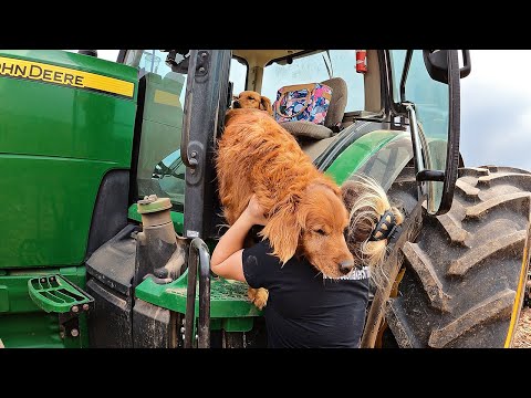 Broken Rubber Ruins Farmer's Day - John Deere 8235R Breakdown