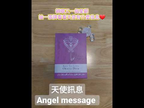 天使訊息    Angel message     無論任何時間你看見這些訊息，一定是天使送給你❤️