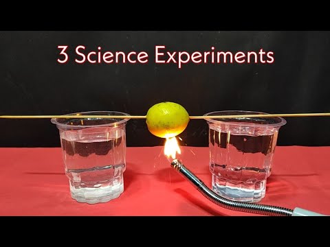 Science Experiments to do at Home Easy 🕯️🧪