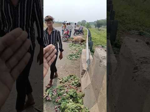 Kisan ka huva accident #shortsviral #apkadostnaeem #viralvideos #news