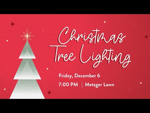 Christmas Tree Lighting 2024