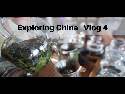 Tea with Terry - China Vlog 4