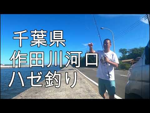 【坊主の釣り日記】千葉県作田川でハゼを釣る！