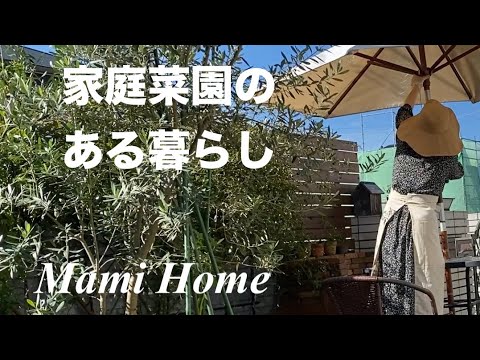 家庭菜園のある暮らし｜Vlog