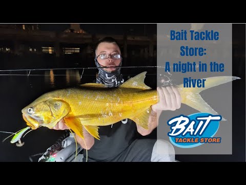 A Night in the Brisbane River Chasing Threadfin and Mulloway