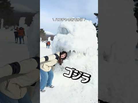 【大沼】雪と氷の祭典｜冬イベント