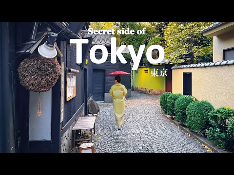 “Little Kyoto” in Tokyo You’ve Never Seen Before | Shinjuku, Rikugien, Kagurazaka |JAPAN TRAVEL VLOG