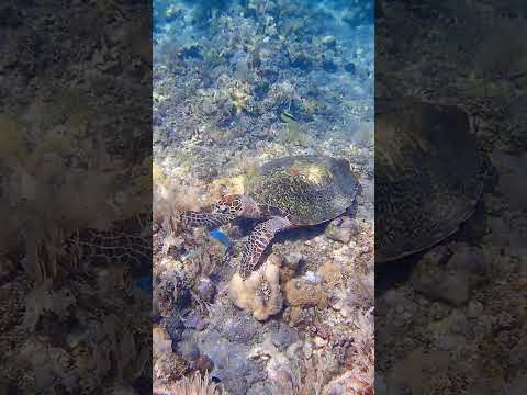 この空の向こうに・・・あるんです、超絶南国丸出しの海が！さぁバリ島に旅立ちましょう！