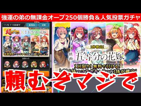 【モンスト】「五等分の花嫁 弟ガチャ」推しのあの子が欲しい!!強運無課金の弟が貯めたオーブ250個大勝負!!!＆人気投票ガチャ【五等分の花嫁コラボ】