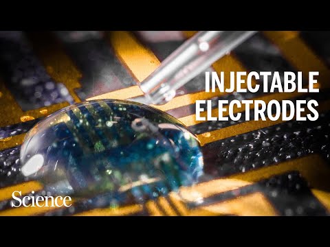 How researchers created conductive gels using the body's own chemistry