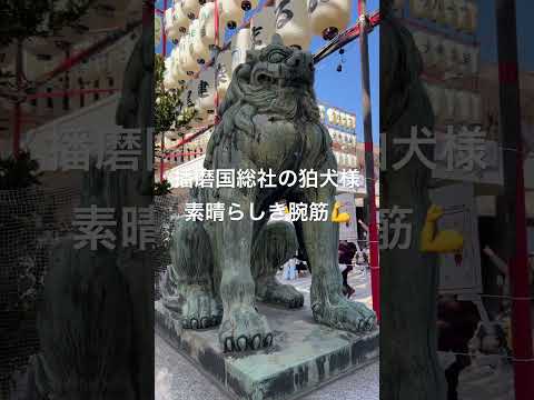 胸筋モリモリ 狛犬様 姫路 播磨国総社⛩️