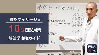 10分でわかる国家試験対策【鍼灸あん摩マッサージ指圧師】解剖学攻略ガイド編