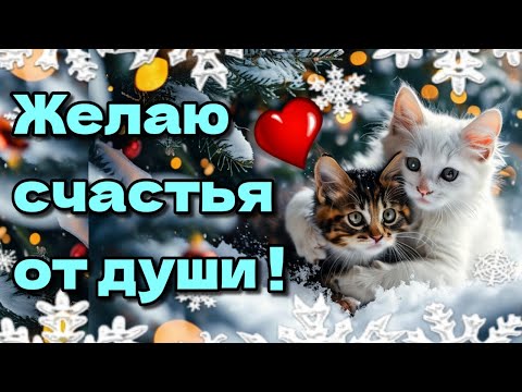 🌞☕🍰Самого доброго зимнего утра!🌞Благословенного дня!🌞Красивая музыкальная открытка 💗