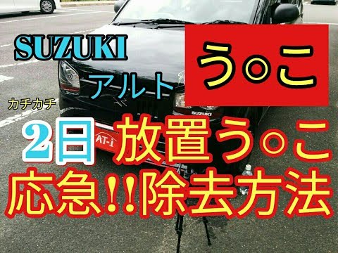 【う〇こ】応急除去!!2日放置した空からの贈り物(;^ω^)