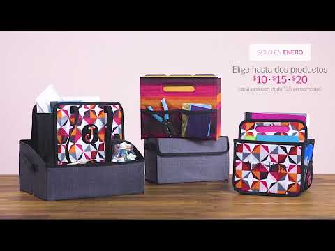 Especiales del Mes de Enero de 2019 - Thirty-One Gifts