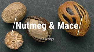 NUTMEG & MACE  What Are They? How Are They Related? Everything You Need To Know About NUTMEG & MACE