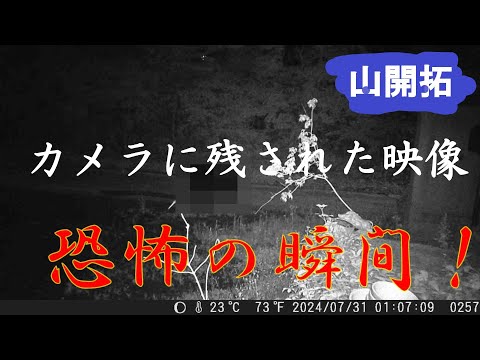 【山開拓】トレイルカメラに残された映像が恐怖でしかない！！