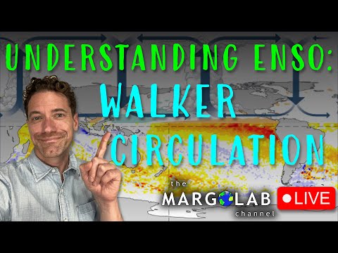 Understanding ENSO: Walker Circulation LIVE