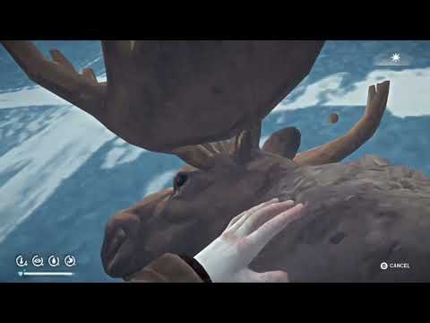 The long Dark New skinning animation