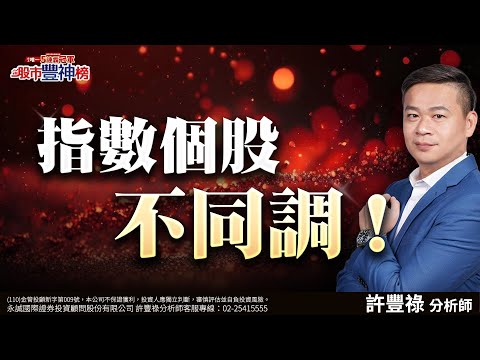 指數個股不同調 ！｜2024/12/13｜ 許豐祿 分析師｜股市豐神榜