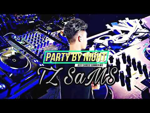 三生三世十里桃花伤感慢摇专辑2017 DJ TZ SamS