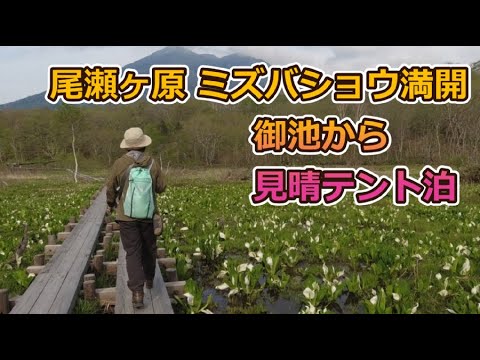 尾瀬 ミズバショウ満開 三条の滝 御池から尾瀬ヶ原 見晴テント泊