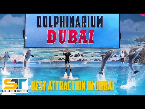 Dubai Dolphinarium Full Video | Amazing Dolphins and Seals Show | Suman Telugu Traveller