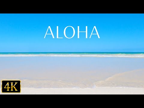 Beach Therapy: Relaxing Ocean Sounds for Stress Relief (4K UHD)