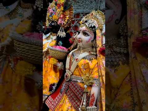 Meri Vinti Yahi Hai Maharani Kripa Status || Radha Rani bhajan Status || full Hd Status|| #radharani