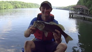 How to Catch Bass and Bluegill on Micro Jigs: Tackle and Techniques