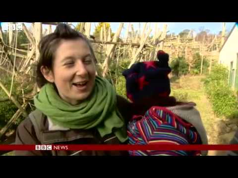 BBC News   Dutch chimps in Edinburgh Zoo learn to speak in Scottish accent