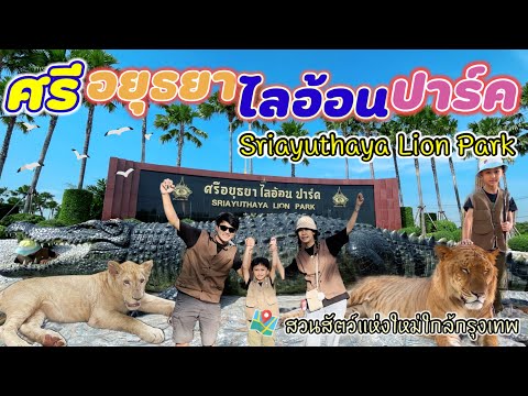 สวนสัตว์ศรีอยุธยา ไลอ้อน ปาร์ค Sriayuthaya Lion Park 🦓🐅🦒🐆| PJ Family On Tour 🥰