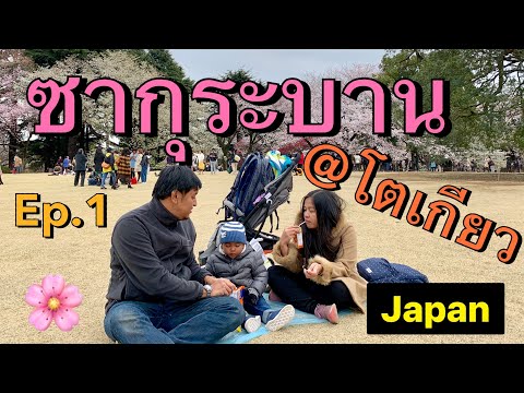 [พาลูกเที่ยว] Ep.1: พาไปชมซากุระ ที่โตเกียว ประเทศญี่ปุ่น ปี2019 [TinnTinn In Japan-2019]